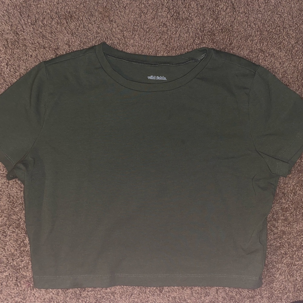 2 cropped wild fable t shirts